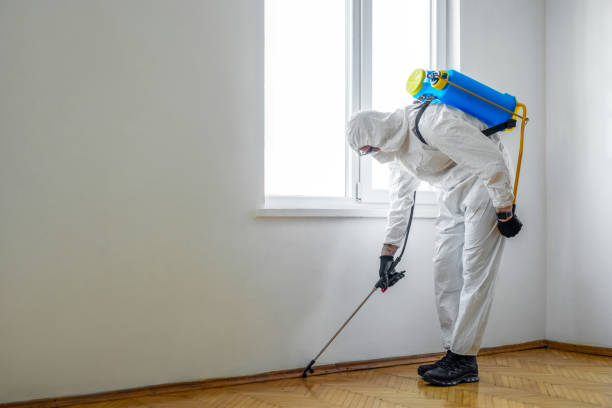 Best Rat Extermination Near Me  in Round Lake Park, IL