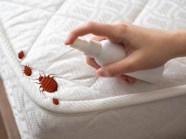 Best Pest Control Near Me  in Round Lake Park, IL